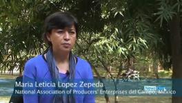 Maria Leticia Lopez Zepeda_0.png