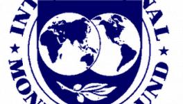 imf-logo.png