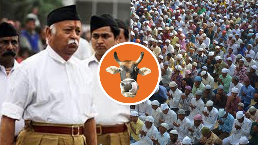 cow vigilante