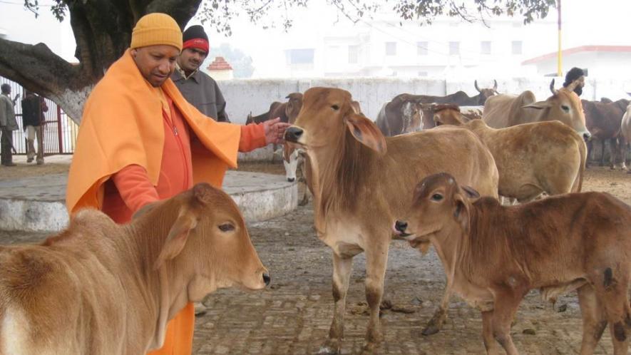 Yogi Adityanath