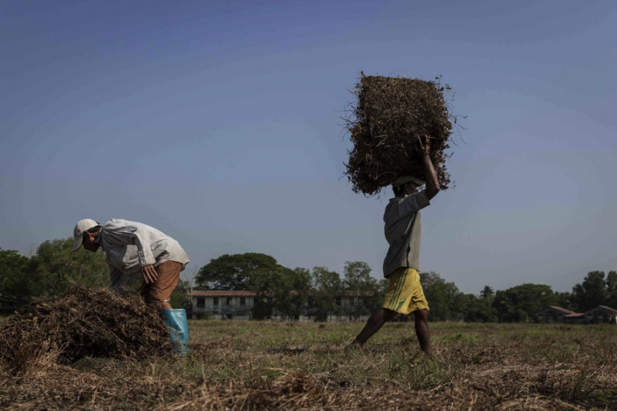 Myanmar farmers crisis