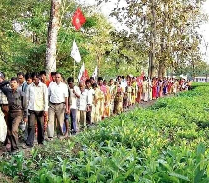 Tea Garden Strike 