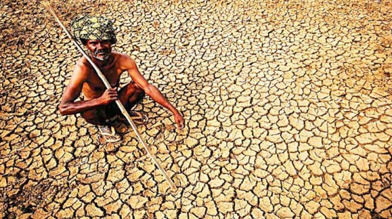 Drought in Karnataka