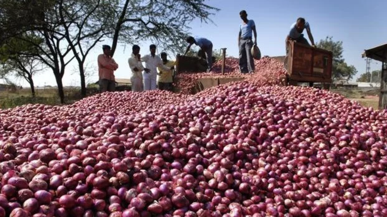 Maharashtra Govt Onion Farmers Electoral Loss