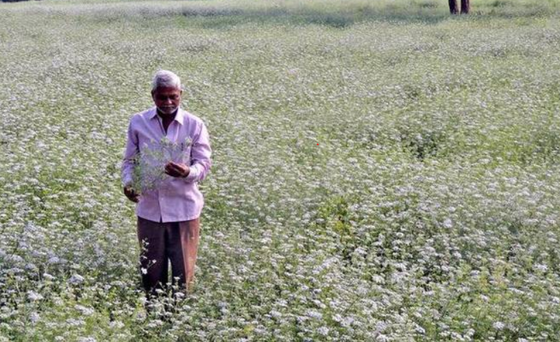 Andhra Pradesh: After Farmers’ Suicides, Families Await Govt Assistance in Drought-hit Kurnool