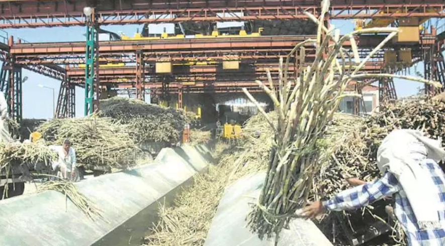 Tamil Nadu Farmers’ Associations Accuse Sugar Mill Owner