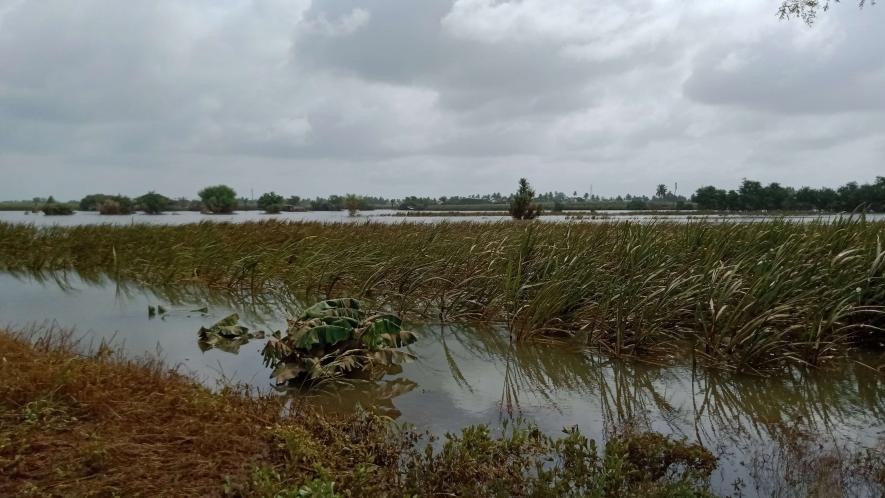 Maharashtra Floods