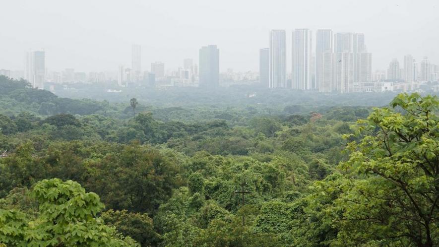 Aarey