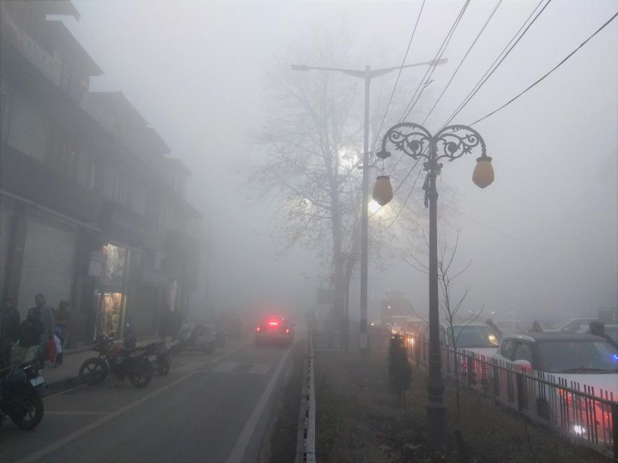 Dense Fog Impairs Life in Kashmir, Orchards Responsible?