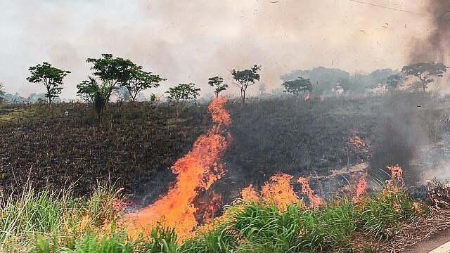 Amazon Deforestation