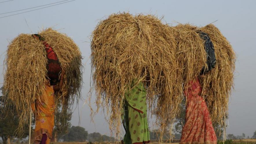 Women Farmers