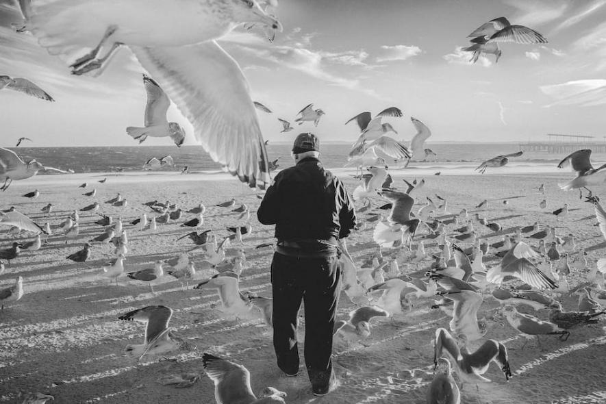 Luc Kordas, Coney Island, 2016