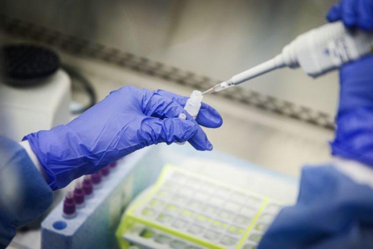 A laboratory technician prepares Covid-19 patient samples for testing at Northwell Health Labs in New York, USA. (AP)