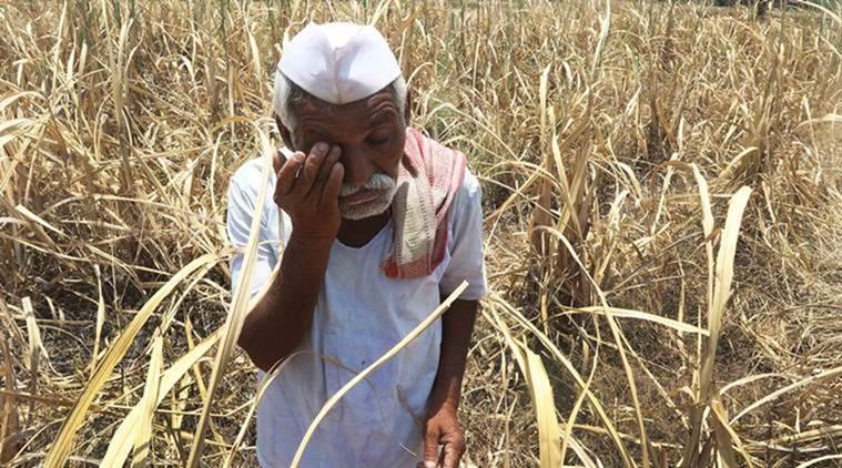 Farm Loan Waiver: Debt-free Farmers