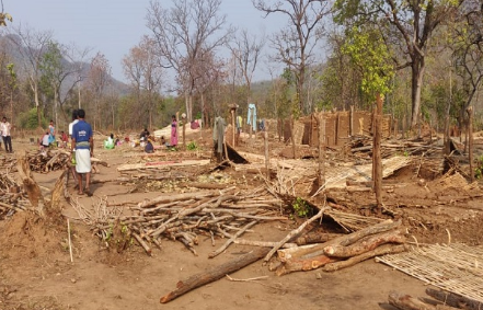 Forest Department Amid Lockdown