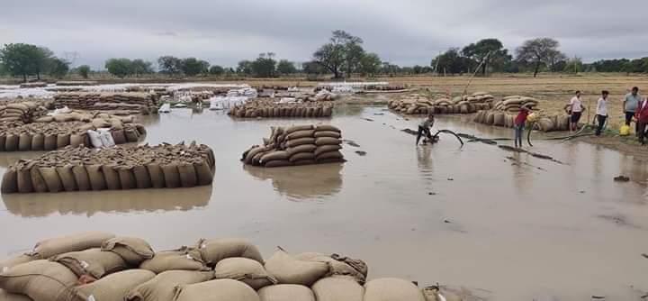 MP: Three Farmers Die after Suffering Cardiac Arrests in Queues to Sell Crops in One Week