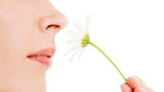 COVID-19 Causes Loss of Smell Is Still Elusive