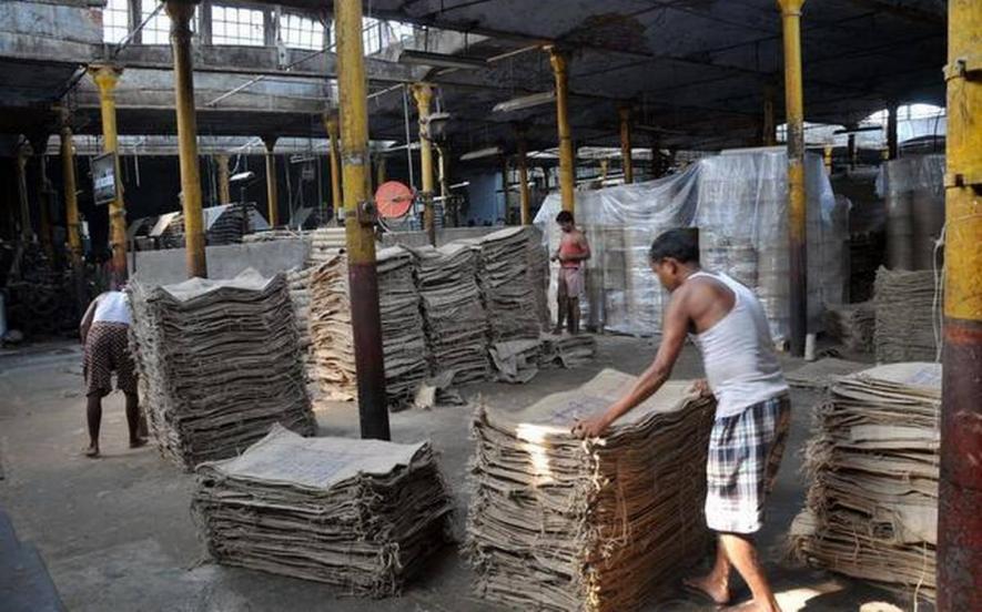 Imponderables Mark Start of Jute Year