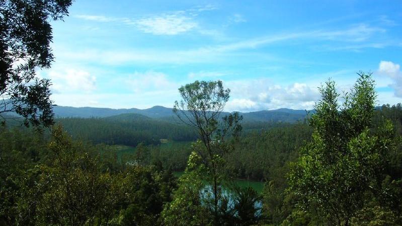 Ecosystem of Nilgiris