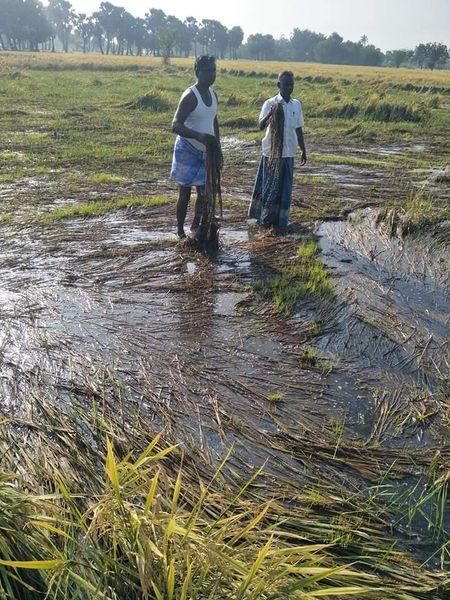 Tn Farmers 