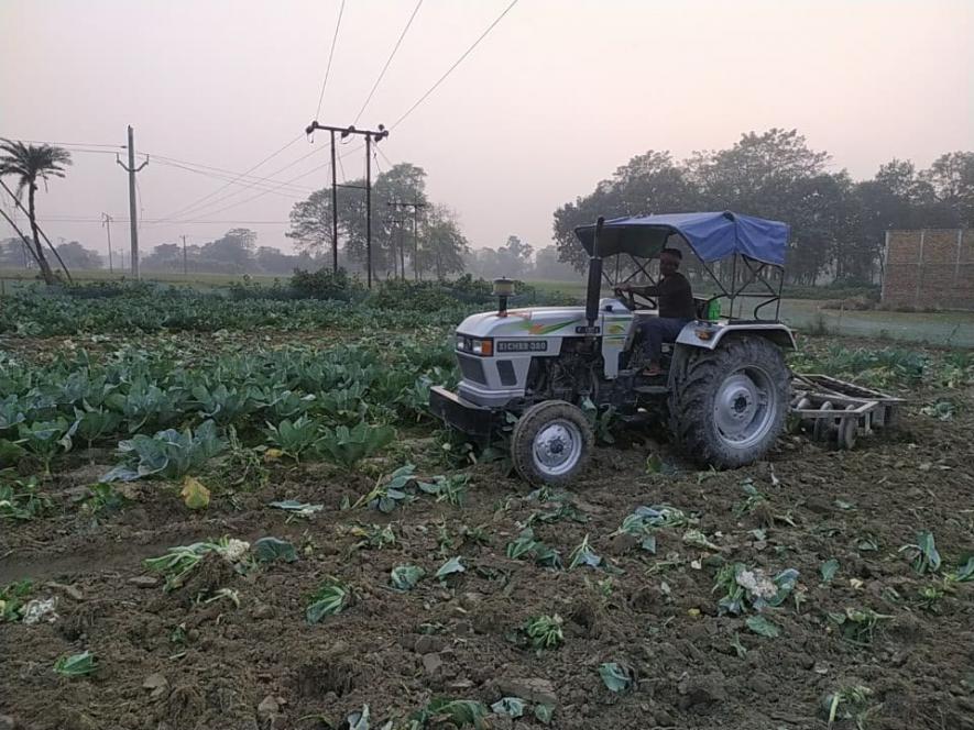 Bihar Farmer’s Cauliflower Sale