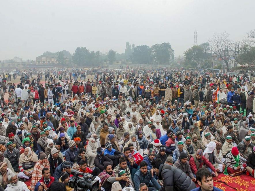 Farm Laws: At Mahapanchayat, Naresh Tikait Appeals to Farmers to Reach Ghazipur Border