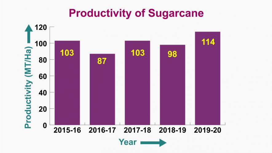 Source: Policy Note 2019-20, Agriculture Department, Govt of Tamil Nadu