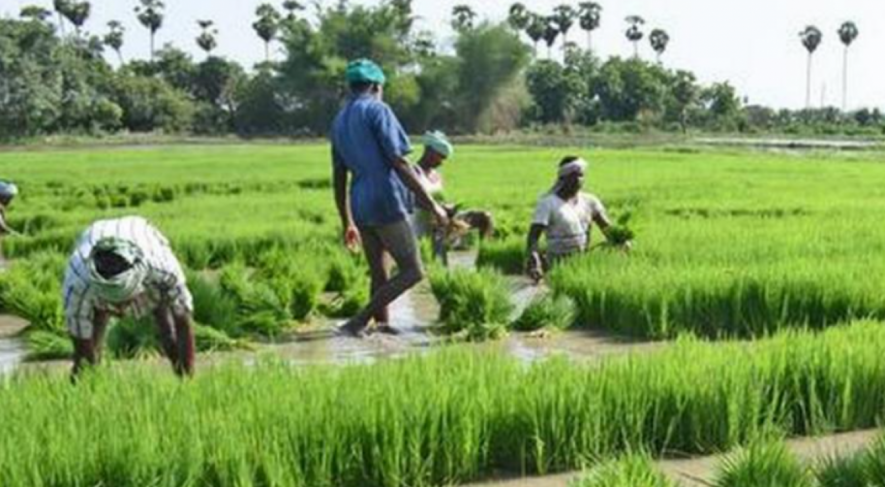 Farmers Bihar