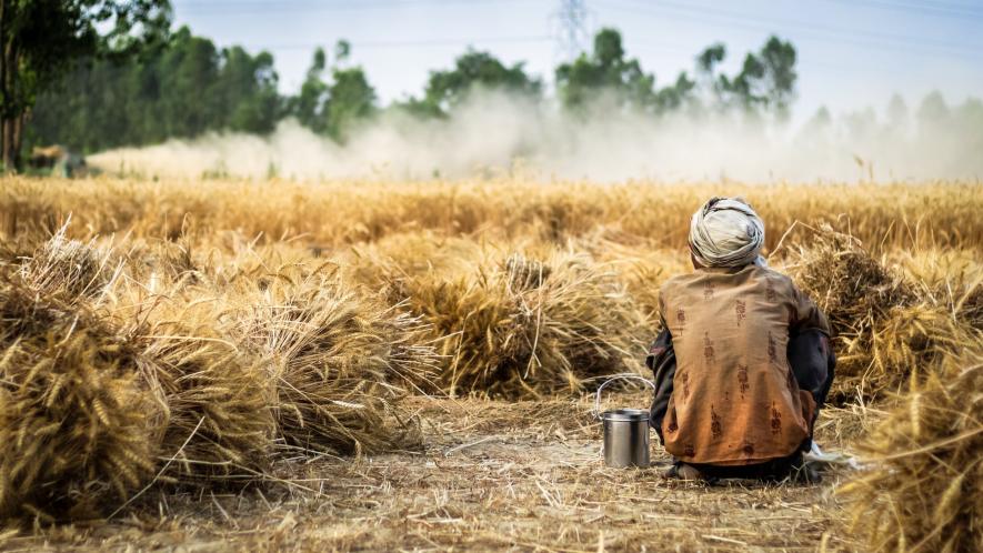 Take decision about compensating families of suicide victim farmers who borrowed from private money lenders: Karnataka HC