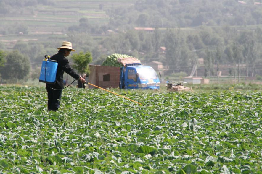 Pesticide Linked to Brain Damage