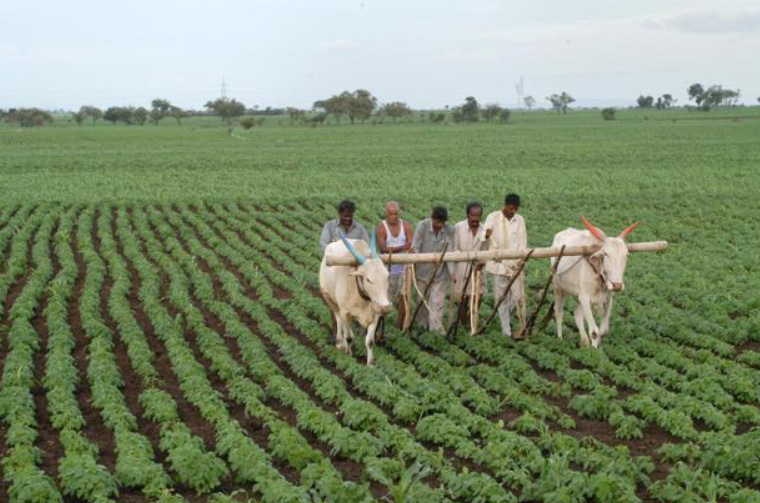 Farmers MP