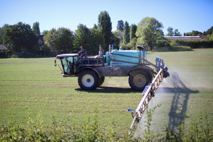 Glyphosate’s Toxic Legacy Exposed: Why This Weedkiller Should Be Banned