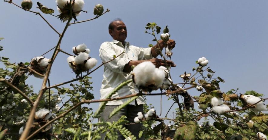 Biodiversity and Samosas: Poisoned Together?