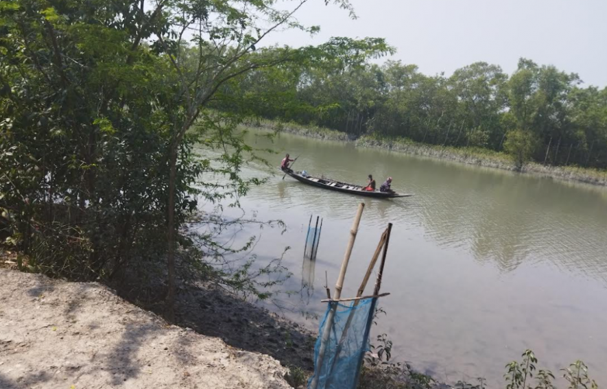 sunderban