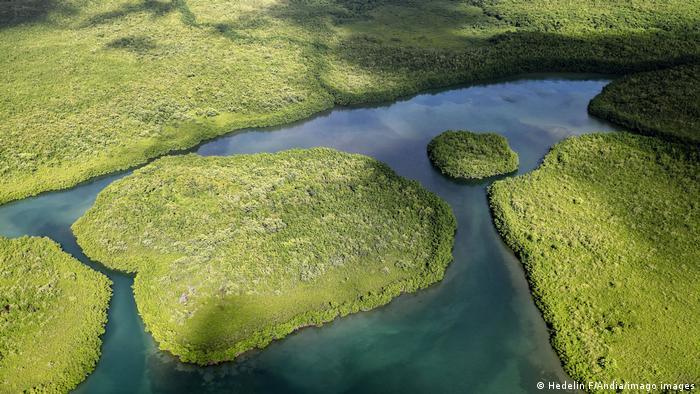 Wildlife even in remote ecosystems are increasingly disturbed by noise