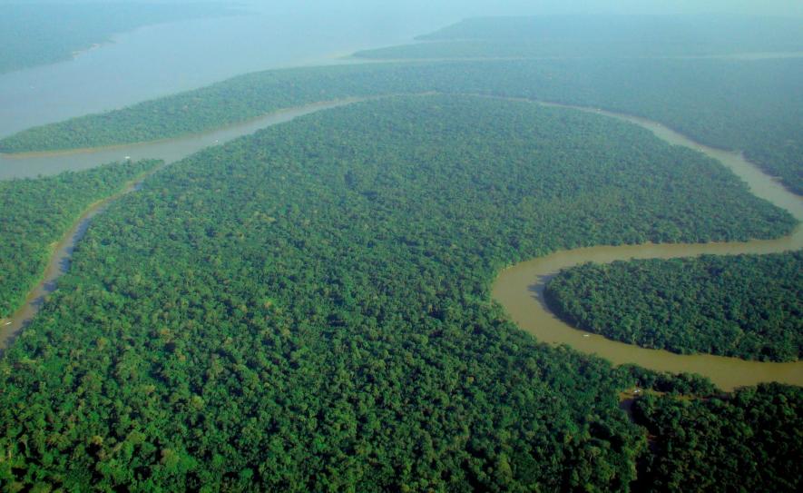 Not Only Carbon Absorption, Tropical Forests Have Climate Benefits Beyond