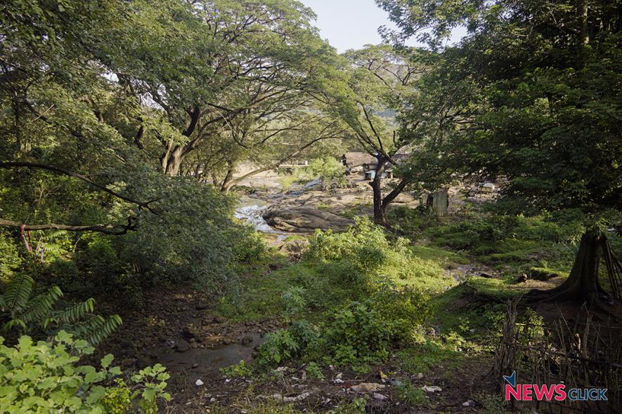 The Aliyar River bank in Navamalai