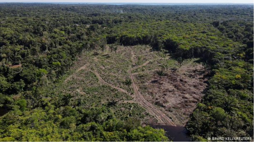 Deforested areas are often cleared for agriculture or mining operations