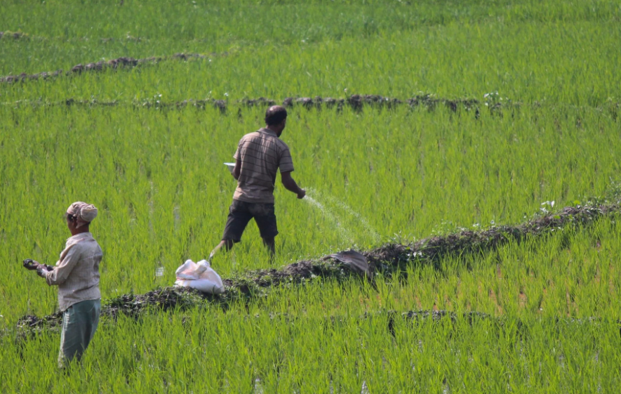 Fertiliser