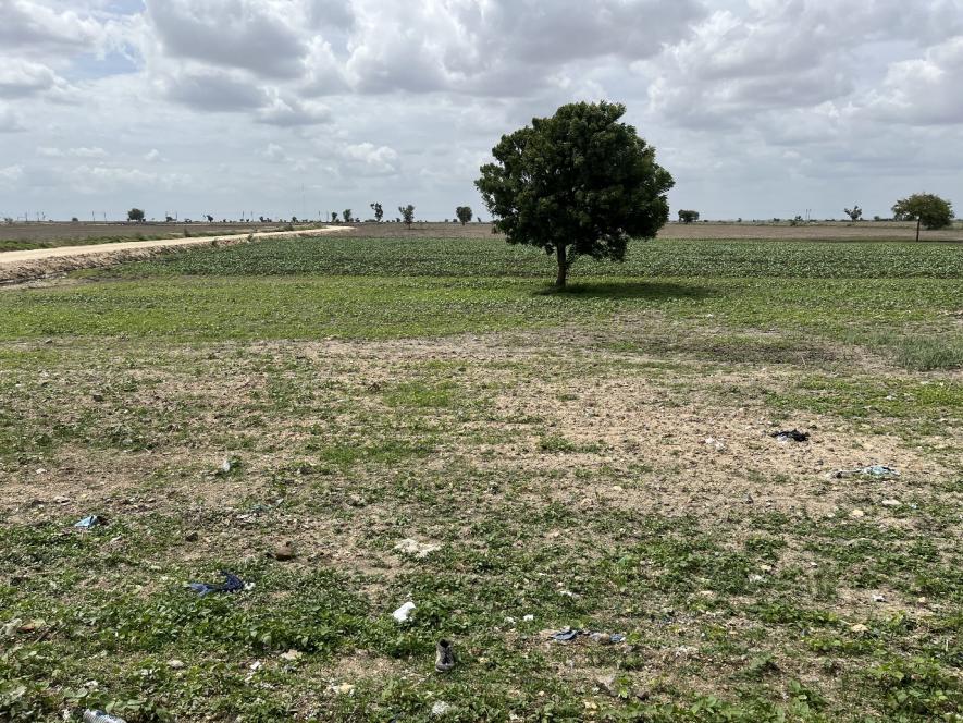 The agricultural land in Koppal district, Karnataka, where the government has proposed to set up a utility-scale solar power park.