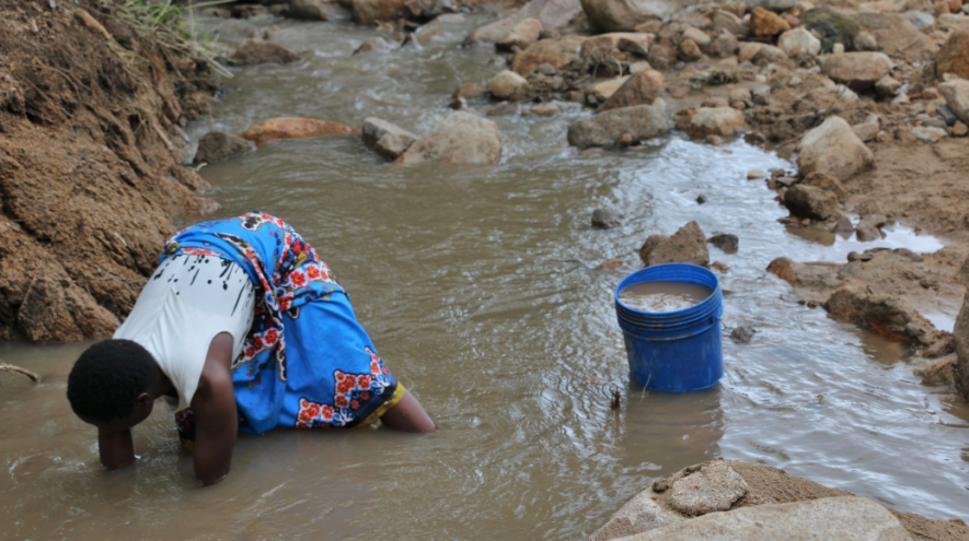 cholera