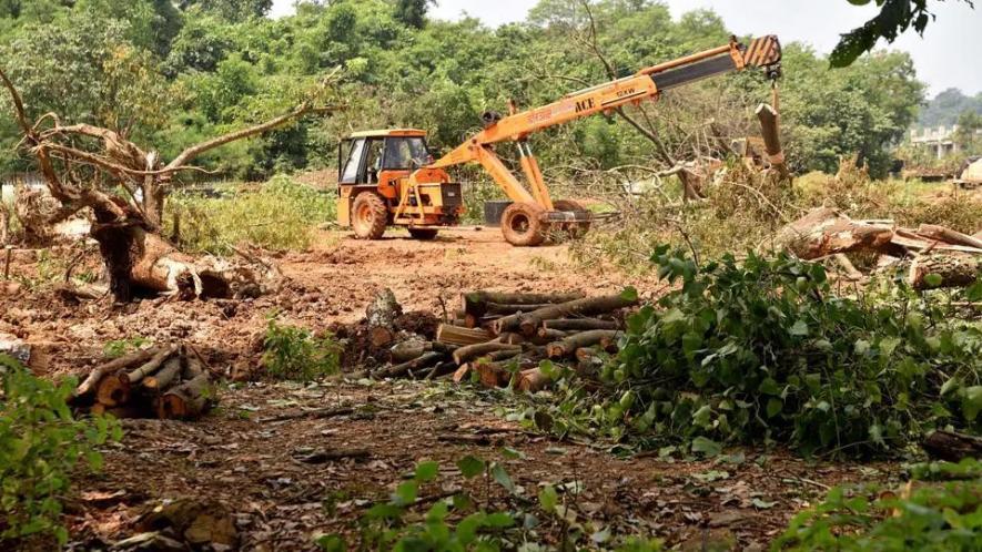 Trees felled in Aarey at 5am amidst heavy police deployment