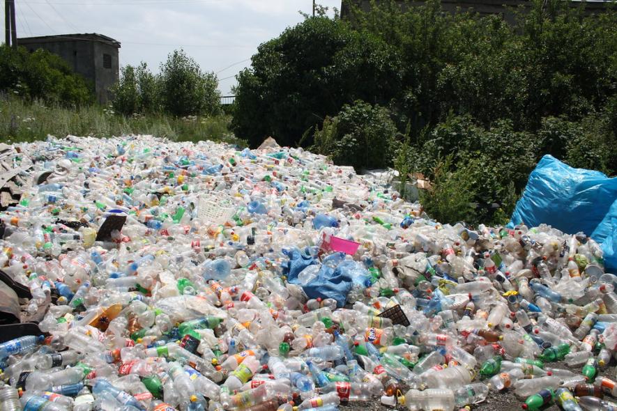 Researchers Hint at Plastic Becoming Part of Geology