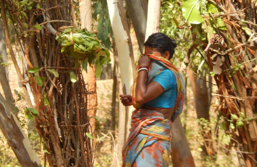 Distress people of Ranibandh jangal mahal bankura