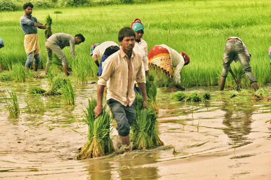 Manipur Violence Impacts Agriculture, Rail Project