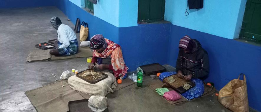 Beedi workers are making beedis at bankura cooperative biri factory.