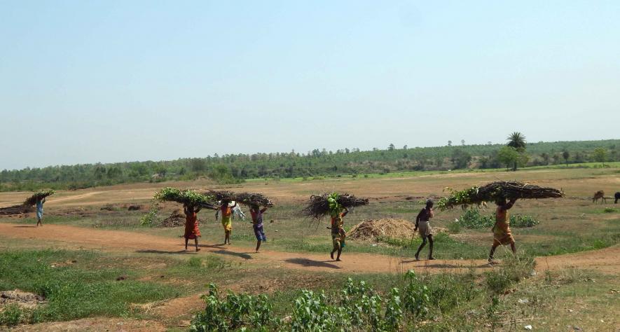 Women returning home after their day's work