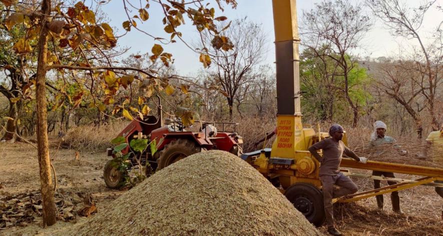 Clearing out lantana in Rampur Patha (Photo - Sanavver Shafi, 101Reporters).