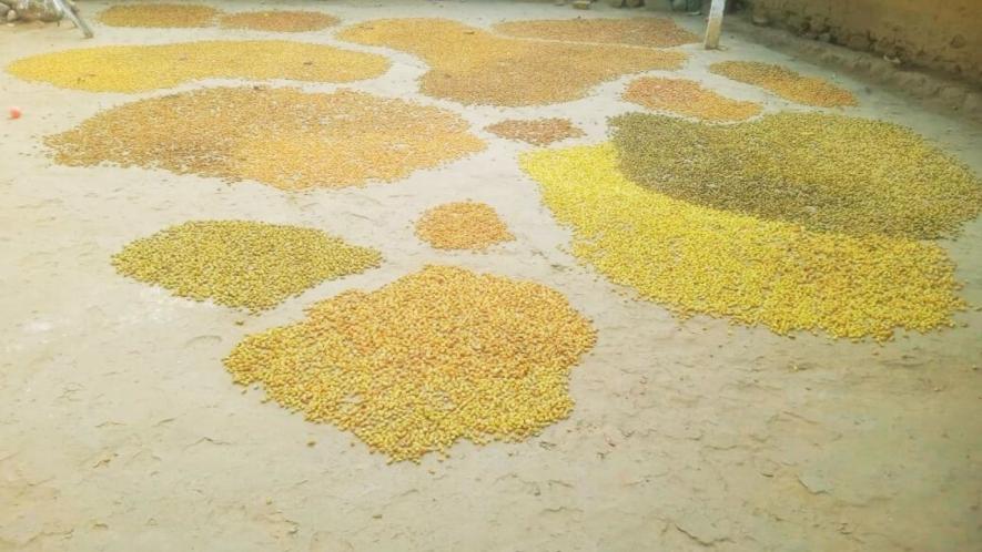 Mahua fermentation in a house