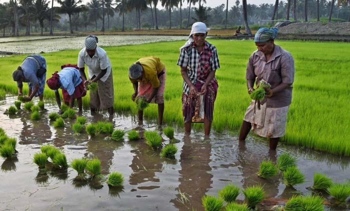 agri lab